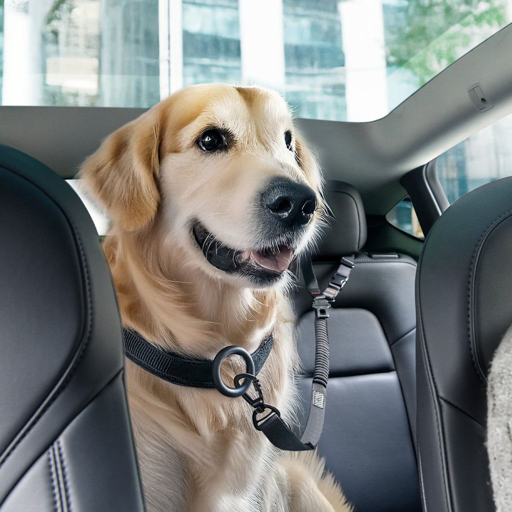 Spigen Universal Car Seat Belt Holder For Pet PS100, black
