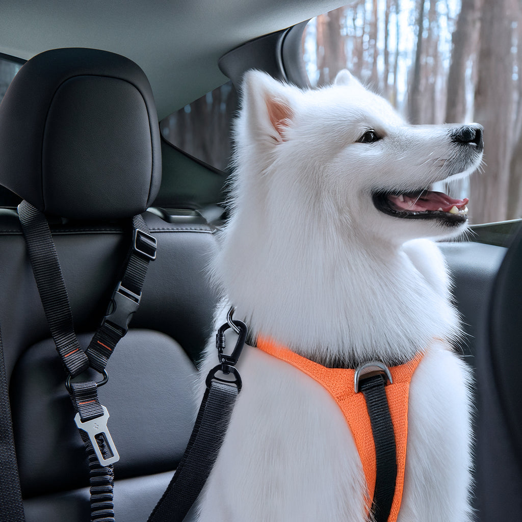 Spigen Universal Car Seat Belt Holder For Pet PS100, black