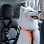 Spigen Universal Car Seat Belt Holder For Pet PS100, black