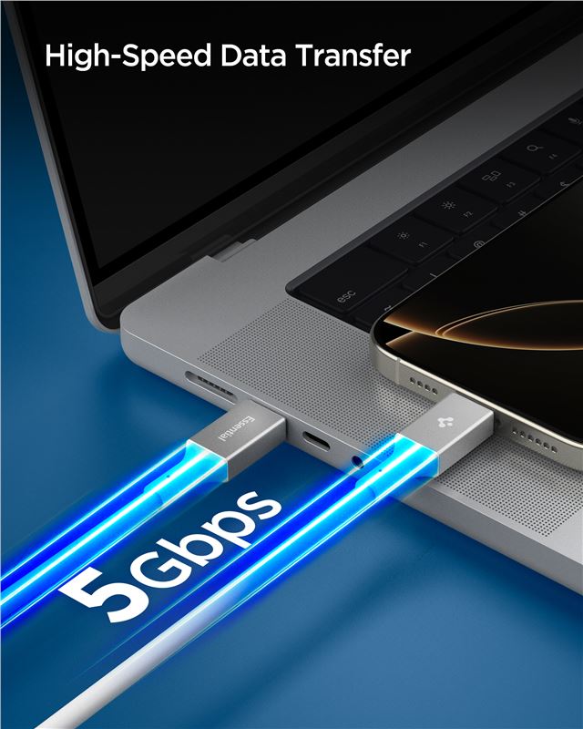 Spigen Essential USB C to USB C 100W Cable, white EB10020CC
